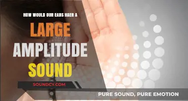 Decoding the Impact: How Our Ears Handle High-Amplitude Sounds