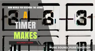 Echoes of Urgency: The Distinctive Sound of a Timer