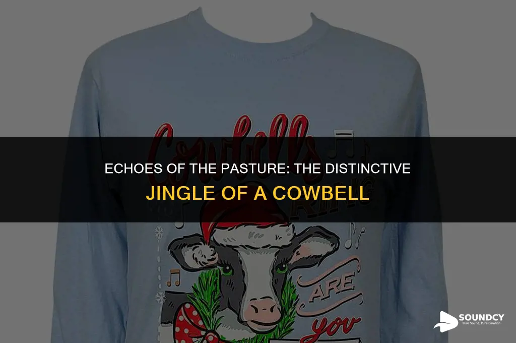 how would you describe the sound of a cowbell
