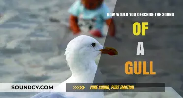 Echoes of the Shore: The Distinctive Call of a Gull