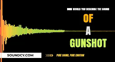 The Deafening Echo: Describing the Sound of a Gunshot