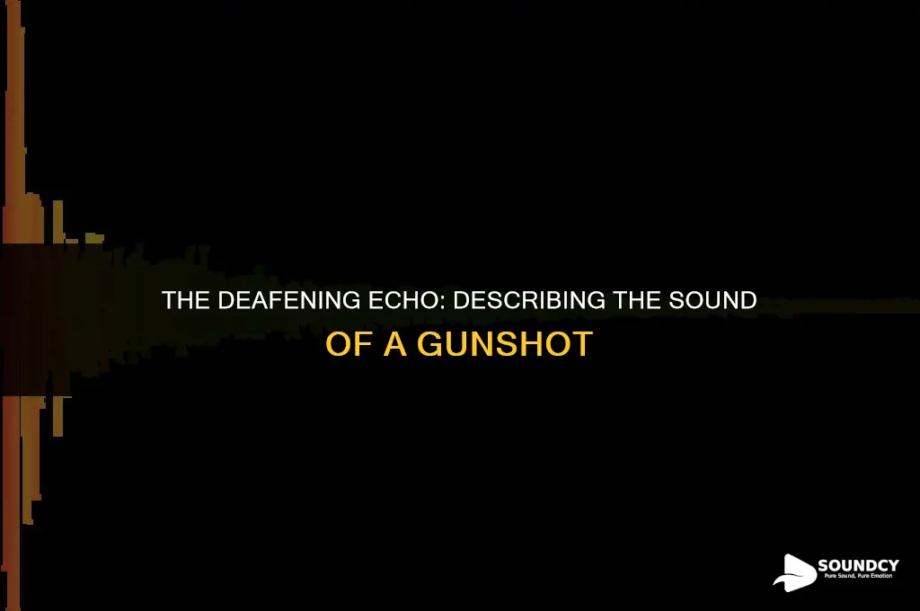 how would you describe the sound of a gunshot