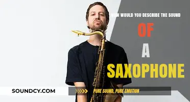 The Soulful Serenade: Describing the Saxophone's Sonic Magic