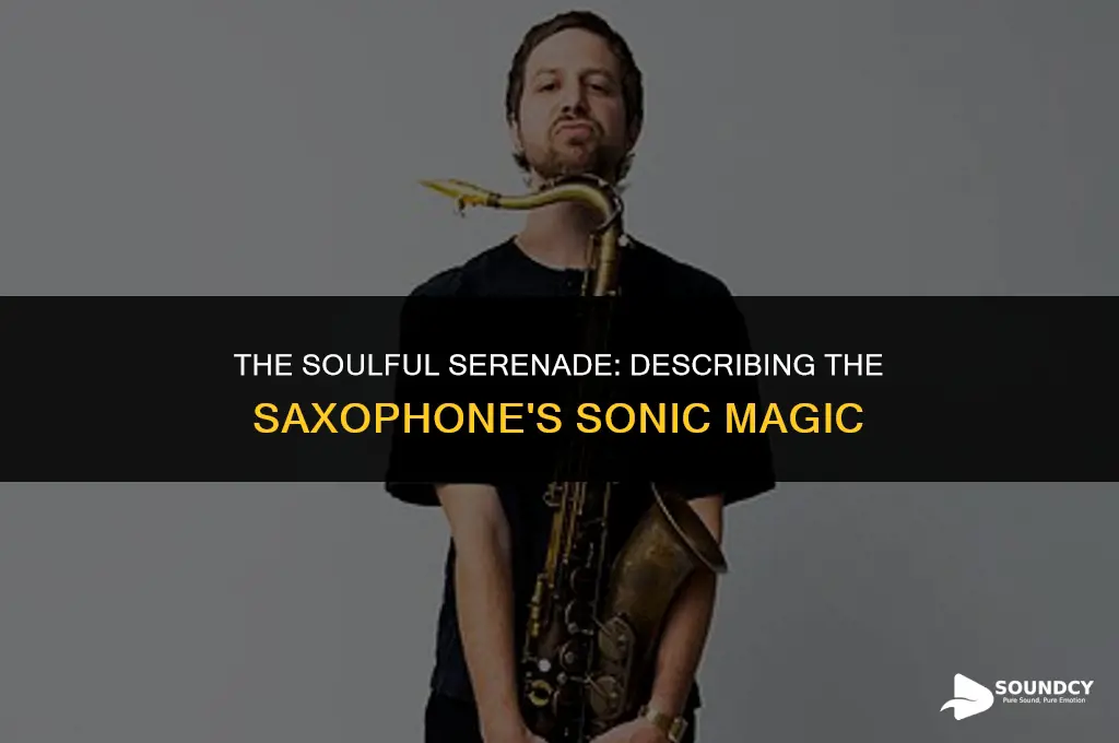 how would you describe the sound of a saxophone