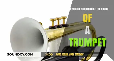 Echoes of Brass: The Distinctive Sound of a Trumpet