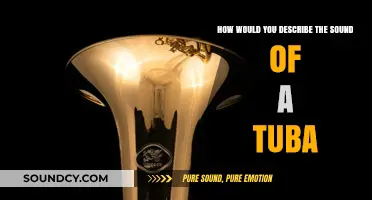 The Deep, Rich Resonance: Exploring the Unique Sound of a Tuba