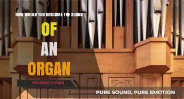 The Majestic Resonance: Describing the Sound of an Organ