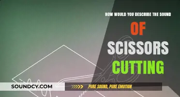 The Crisp, Metallic Symphony of Scissors in Action