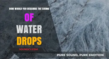 Echoes of Serenity: Describing the Melodic Sound of Water Drops