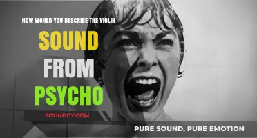 Echoes of Madness: The Haunting Violin Sound from Psycho