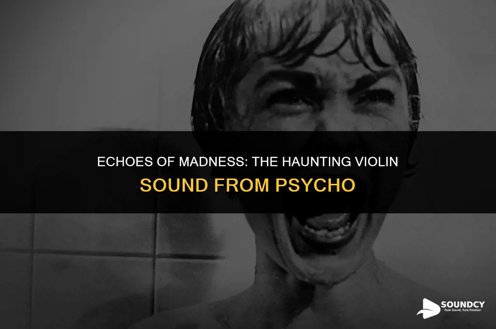 how would you describe the violin sound from psycho