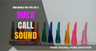 Quack Queries: Typing Out the Irresistible Duck Call Sound