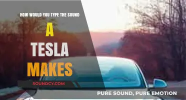 Decoding the Silent Symphony: Typing the Tesla Sound