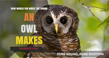 Capturing the Essence of an Owl's Call in Words