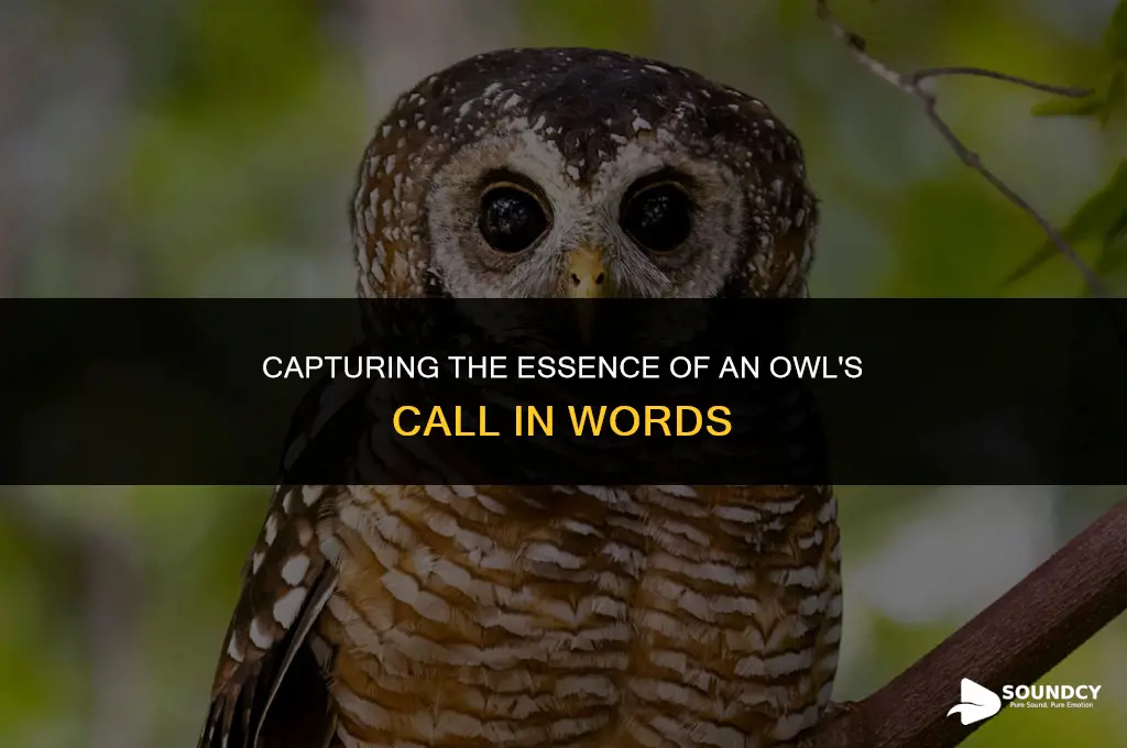 how would you write the sound an owl makes