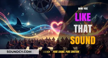 How You Like That Sound: Exploring the Impact of Music on Emotions