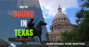 Y'all Come Listen: Mastering the Unique Texas Accent and Phrases