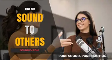 How Your Voice Shapes Perceptions: Understanding How You Sound to Others
