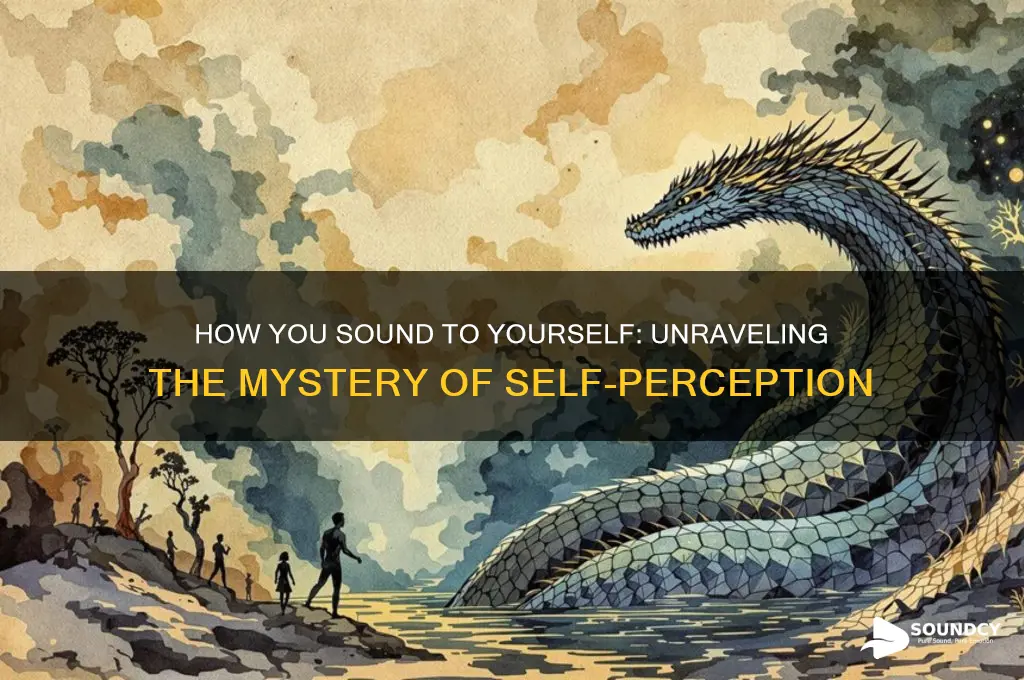 how you sound to yourself