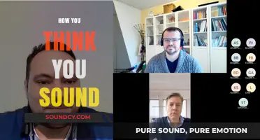How You Think You Sound vs. Reality: Bridging the Communication Gap