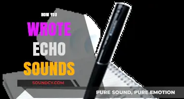 Crafting Echo Sounds: My Creative Process and Writing Techniques