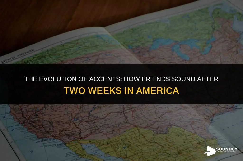 how your friends sound after 2 weeks in america