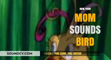 How Your Mom's Voice Sounds Like a Bird: A Hilarious Guide