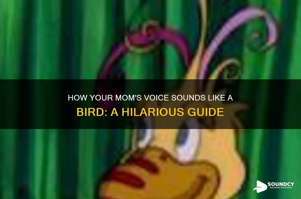 how your mom sounds bird