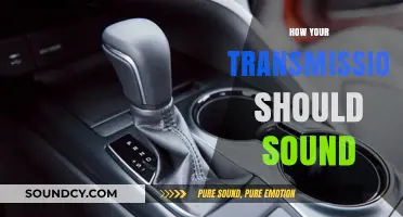 Understanding Normal Transmission Sounds: What to Listen For in Your Vehicle
