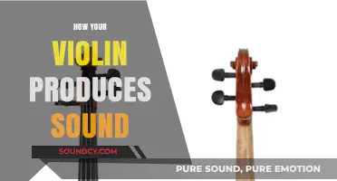 Unveiling the Magic: How Your Violin Creates Its Unique Sound