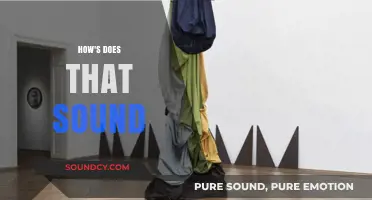 How's That Sound? Exploring the Art of Auditory Perception and Impact