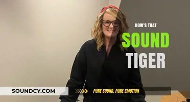 How's That Sound, Tiger? Unlocking the Power of Encouraging Words
