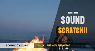 Scratchii Sound Review: Unveiling the Unique Audio Experience of Scratchii