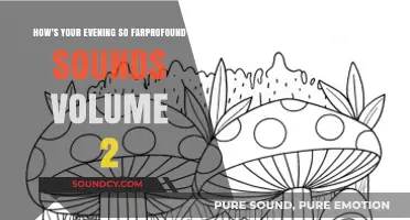 Unwinding with Profound Sounds: Volume 2 - A Sonic Journey
