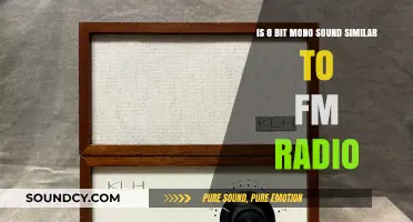 Exploring the Sonic Similarities: 8-Bit Mono vs FM Radio