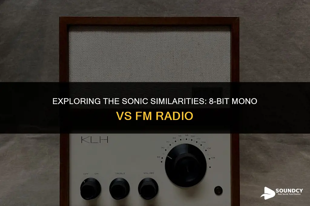 is 8 bit mono sound similar to fm radio
