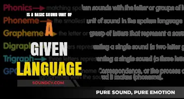 Exploring Phonemes: The Building Blocks of Language Sound