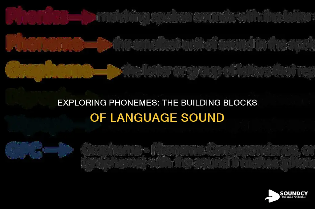 is a basic sound unit of a given language