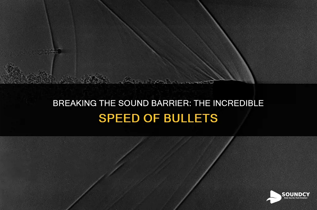 is a bullet faster than the speed of sound