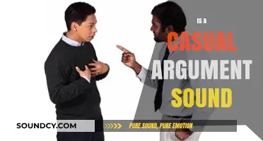 Is a Casual Argument Sound? Evaluating Informal Reasoning and Logic