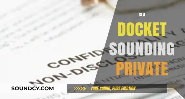 Is a Docket Sounding Private? Exploring Confidentiality in Legal Proceedings