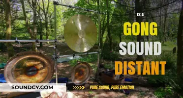 Is a Gong Sound Distant? Exploring Perception and Acoustic Phenomena