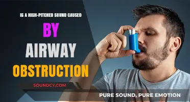 Understanding Wheezing: Causes and Treatments of High-Pitched Sounds