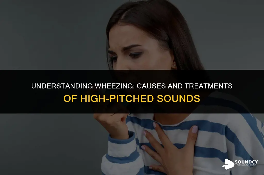 is a high-pitched sound caused by airway obstruction