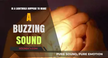 The Buzzing Enigma: Is Your Lightbulb Making Noise?