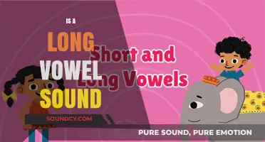 Understanding Long Vowel Sounds: A Comprehensive Guide to Pronunciation and Usage