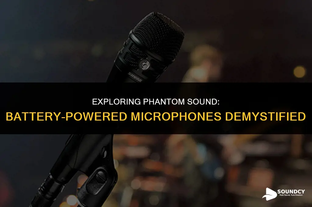 is a microphone with a battery considered phantom sound