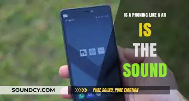 Exploring the Intricacies of Phone Sounds: A Linguistic Journey