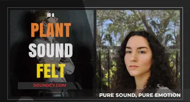 Can Plants Hear? Exploring the Science of Plant Sound Perception