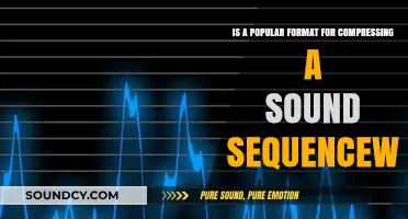 Exploring the Efficiency of MP3: A Popular Sound Compression Format